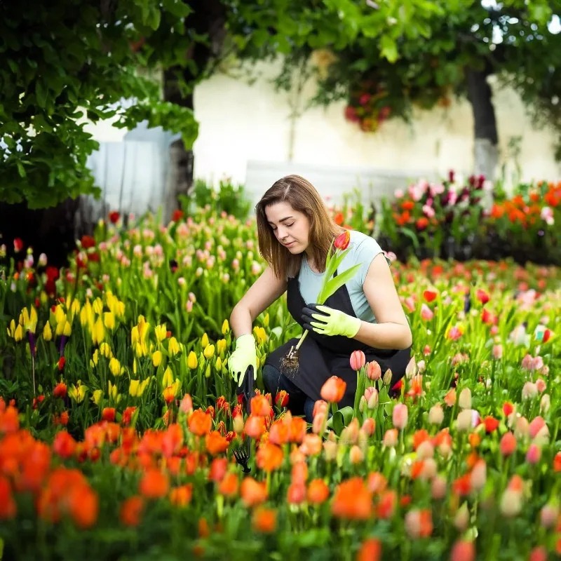 Rastrello da Giardino 2 in 1 M - Gardening Tools To Remove Weeds recensione e prezzo