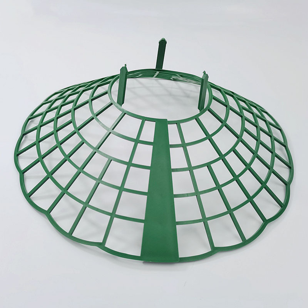 20 pezzi supporto per fragole  - Gardening Tools Green recensione e prezzo