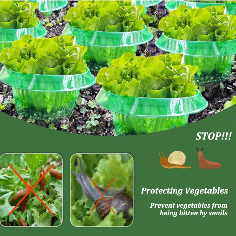 5-25 pezzi piante limace anell - Gardening Tools Green recensione e prezzo