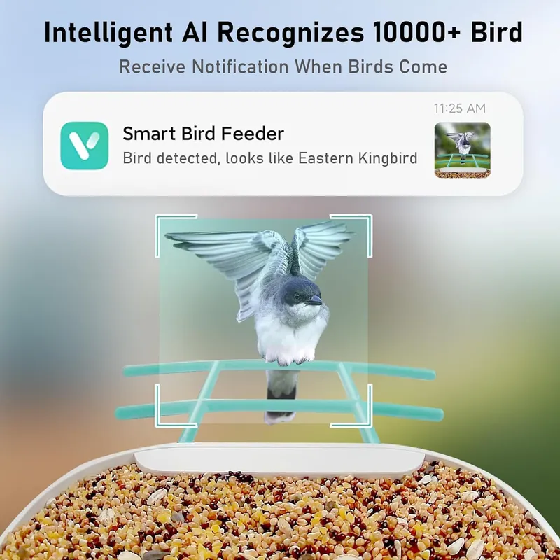 Mangiatoia Intelligente per Uc - Gardening Tools Video recensione e prezzo