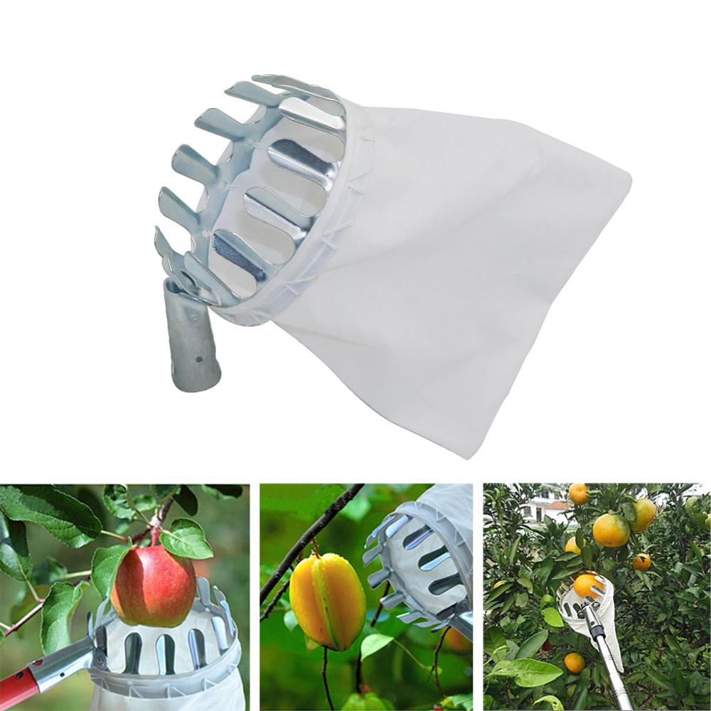 Raccoglitrice di frutta per po - Gardening Tools Long recensione e prezzo