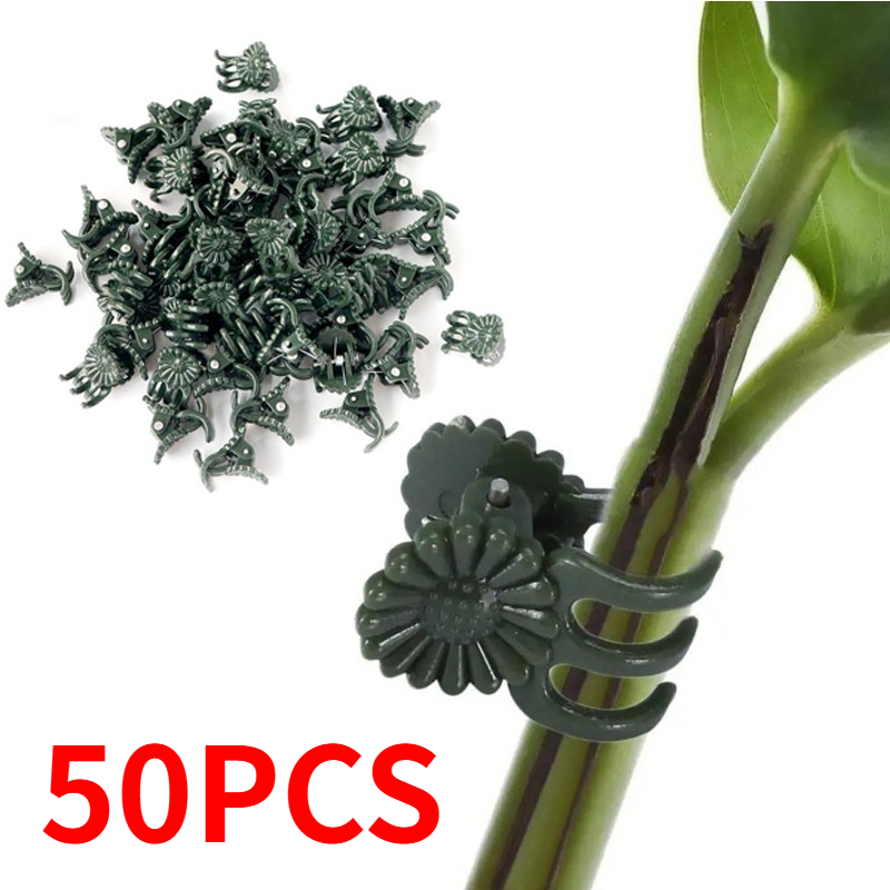 50 Pezzi Clip per Piante a 5 A - Gardening Tools Green recensione e prezzo