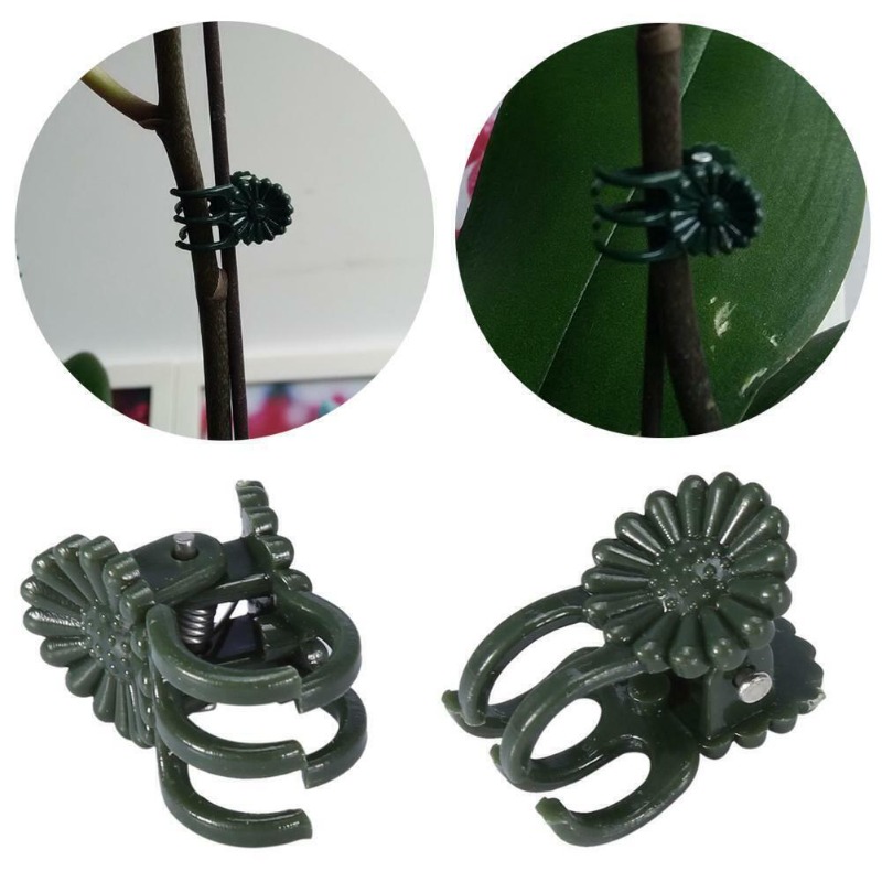 50 Pezzi Clip per Piante a 5 A - Gardening Tools Green recensione e prezzo