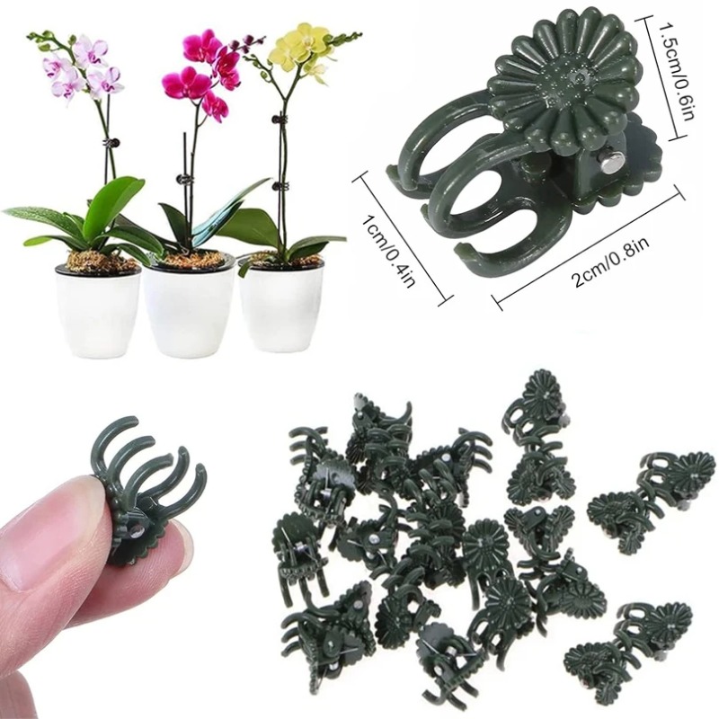 50 Pezzi Clip per Piante a 5 A - Gardening Tools Green recensione e prezzo