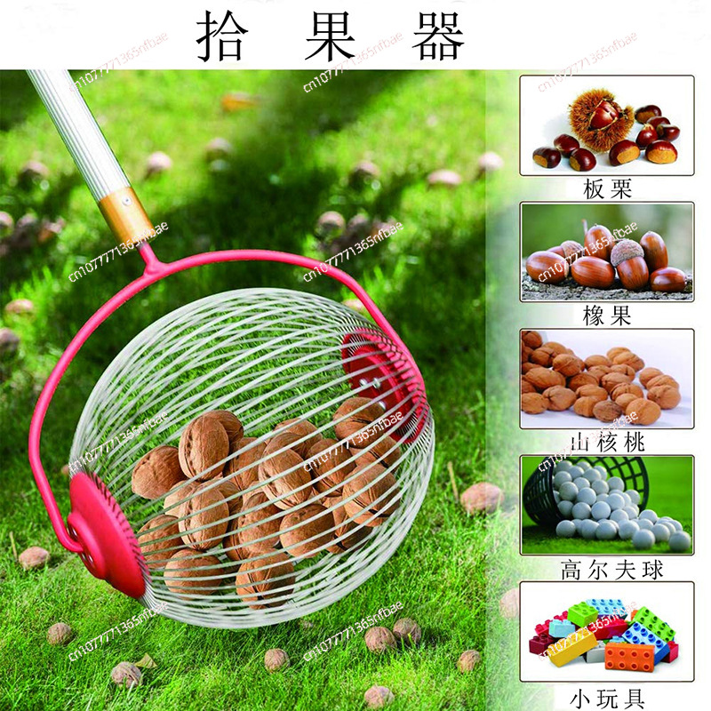 Raccoglitore di Frutta, Raccog - Gardening Tools Amazon recensione e prezzo