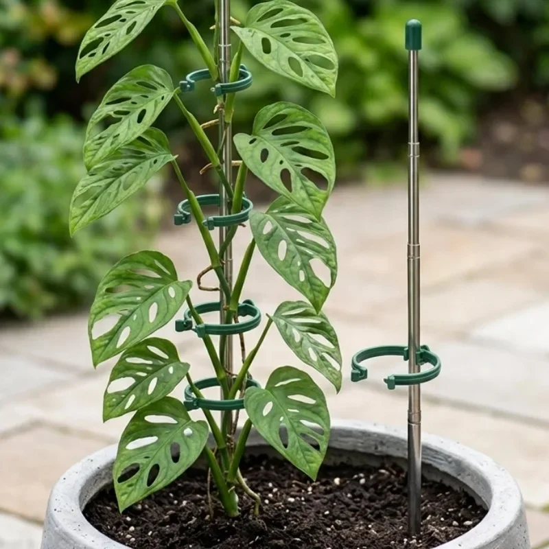 5/1 Pezzi Anelli di Supporto R - Gardening Tools Green recensione e prezzo