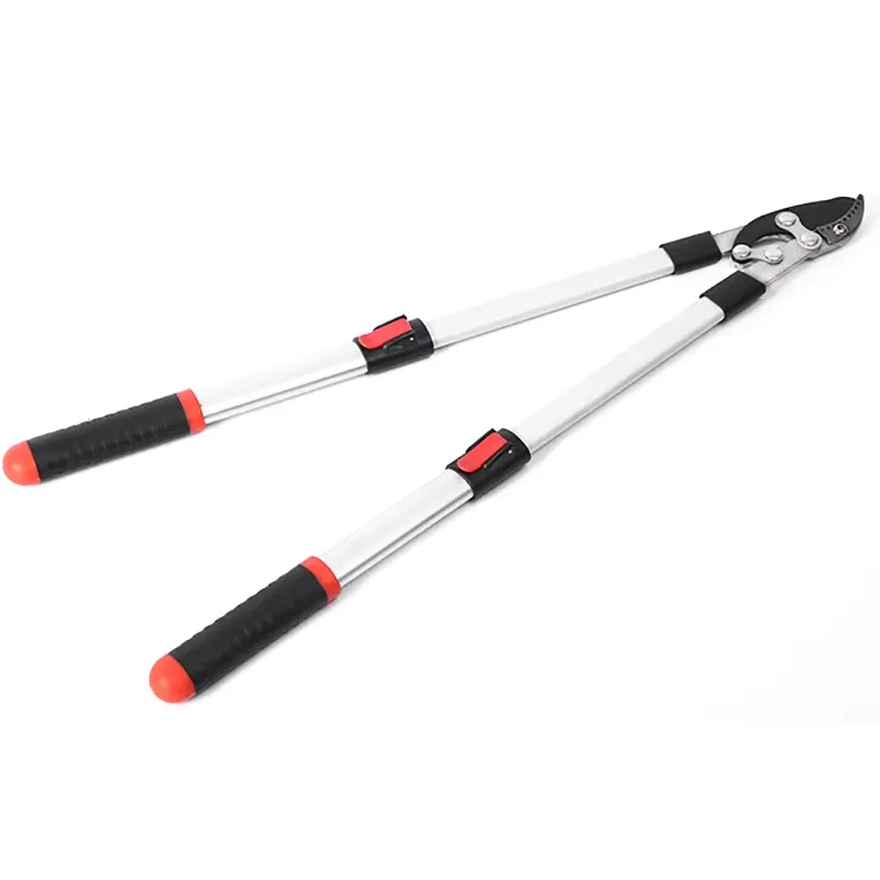 Forbici da Potatura Lunghe Est - Gardening Tools In recensione e prezzo