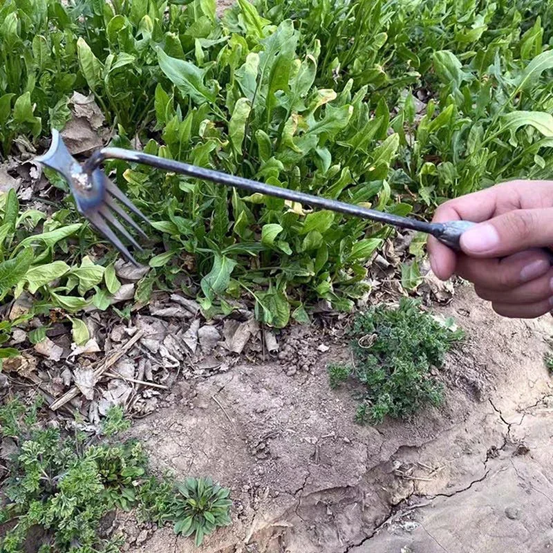 Diserbatore Manuale da Giardin - Gardening Tools To Remove Weeds recensione e prezzo