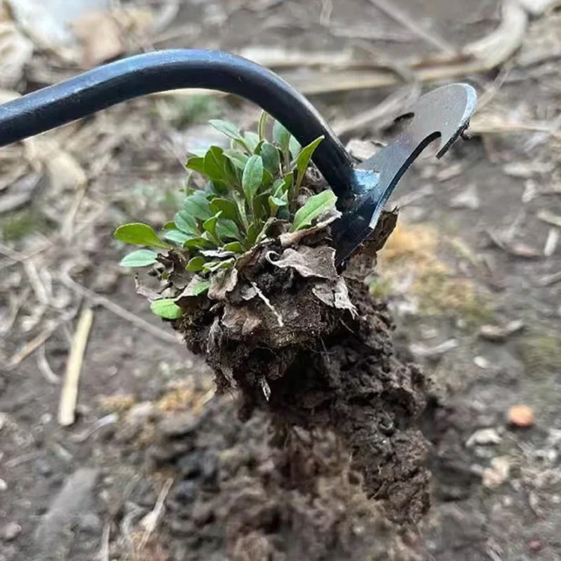 Diserbatore Manuale da Giardin - Gardening Tools To Remove Weeds recensione e prezzo