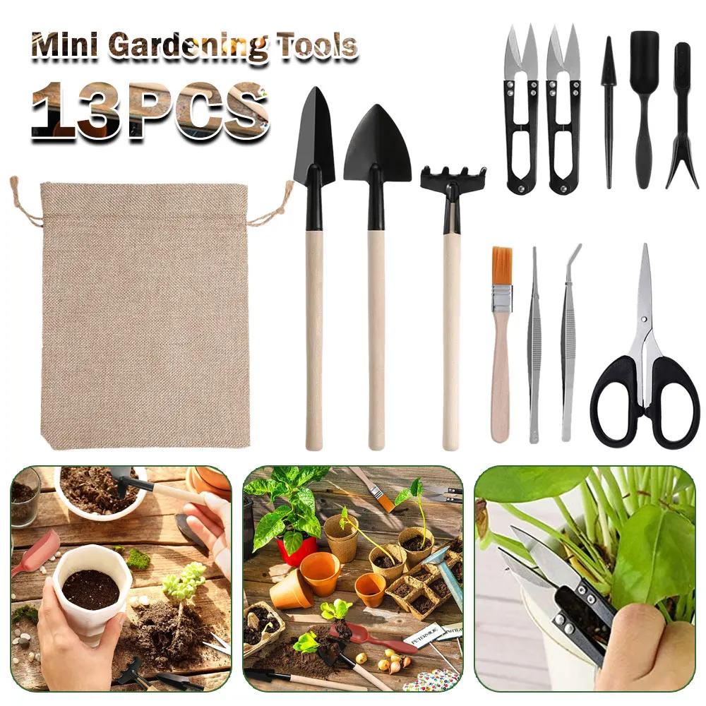 Set di attrezzi per piante suc - Gardening Tools Sale recensione e prezzo