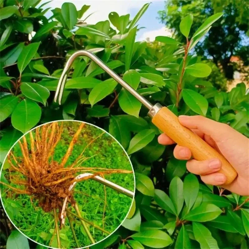 Diserbatore da giardinaggio in - Gardening Tools To Remove Weeds recensione e prezzo