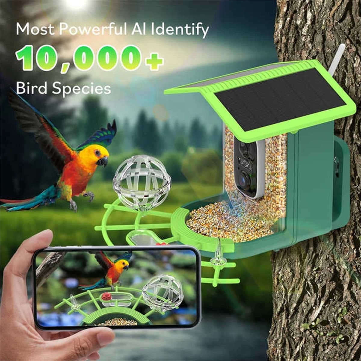 Telecamera per Alimentatore Uc - Gardening Tools Video recensione e prezzo