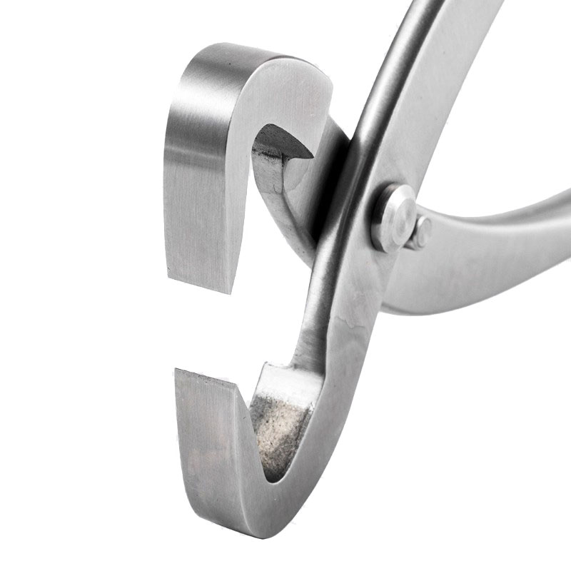 2 pz 210mm In Acciaio Inox Bon - Gardening Tools Australia recensione e prezzo