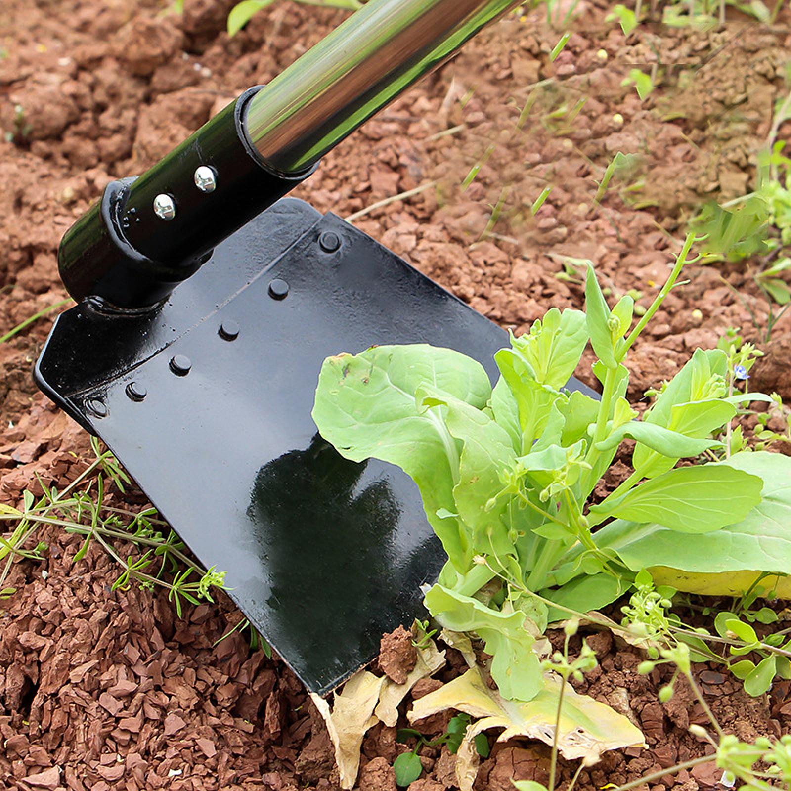 Zappa per falce da diserbo Man - Gardening Tools Long recensione e prezzo
