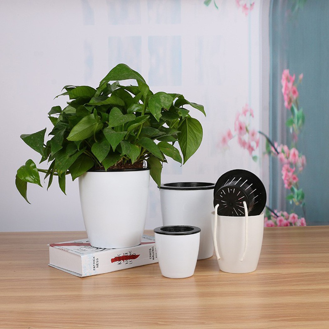 Irrigazione automatica piante  - Gardening Tools Green recensione e prezzo