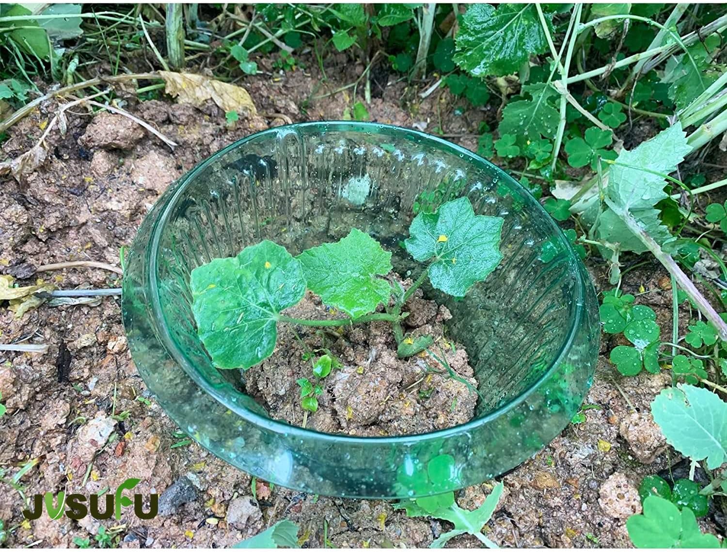 1/30 Pezzi Anelli di Protezion - Gardening Tools Green recensione e prezzo