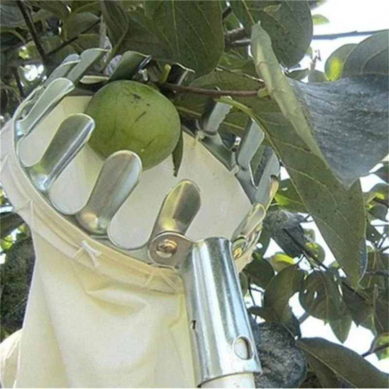 Raccoglitore di Frutta per Gia - Grow Bags recensione e prezzo