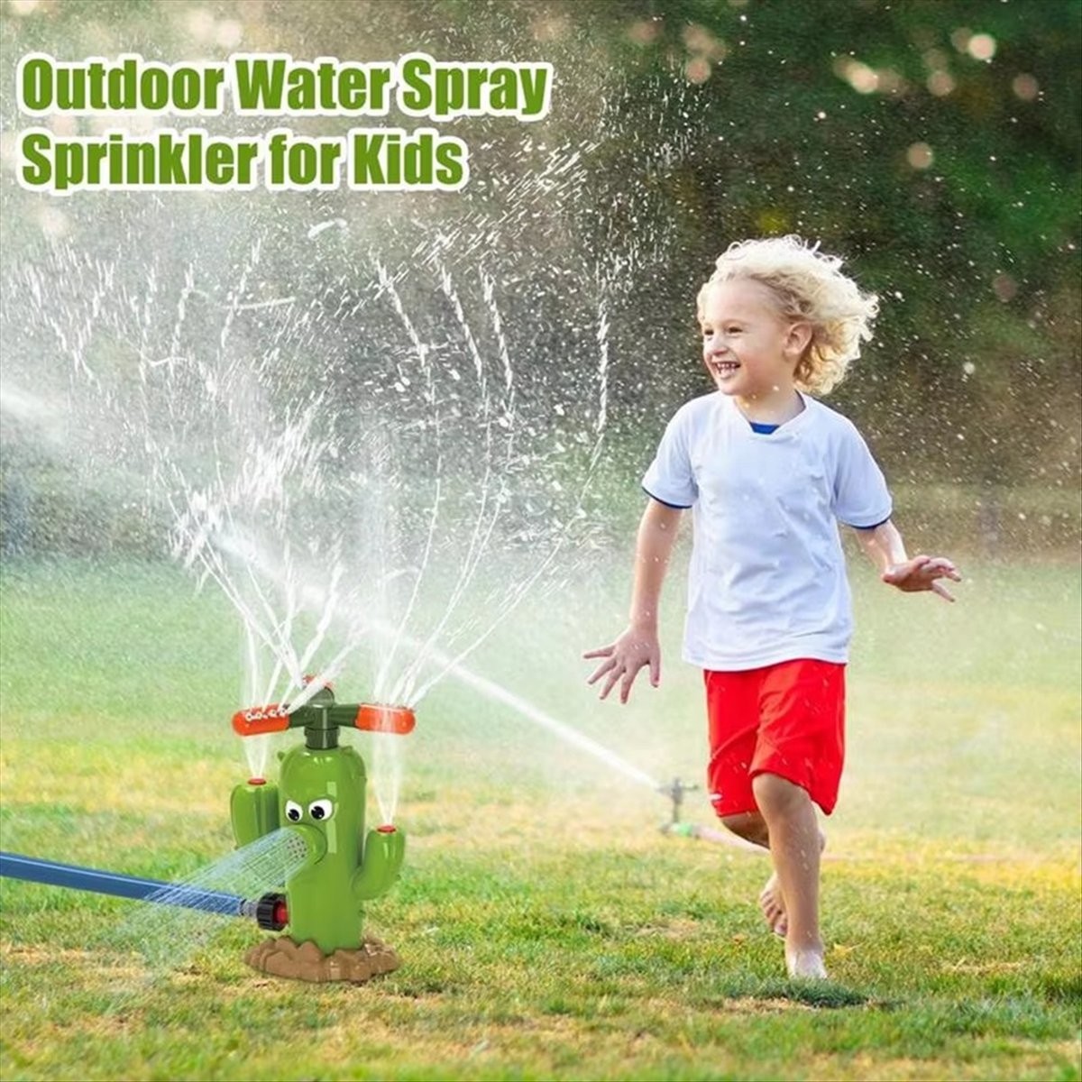 ABNH Cactus Cartoon Sprinkler  - Gardening Hand Tools B&Q recensione e prezzo