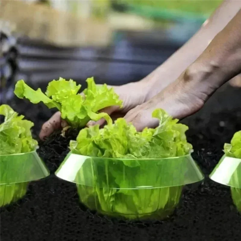 Anelli di protezione per lumac - Gardening Tools Green recensione e prezzo