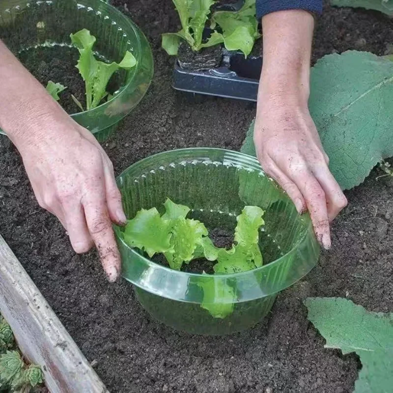 Anelli di protezione per lumac - Gardening Tools Green recensione e prezzo