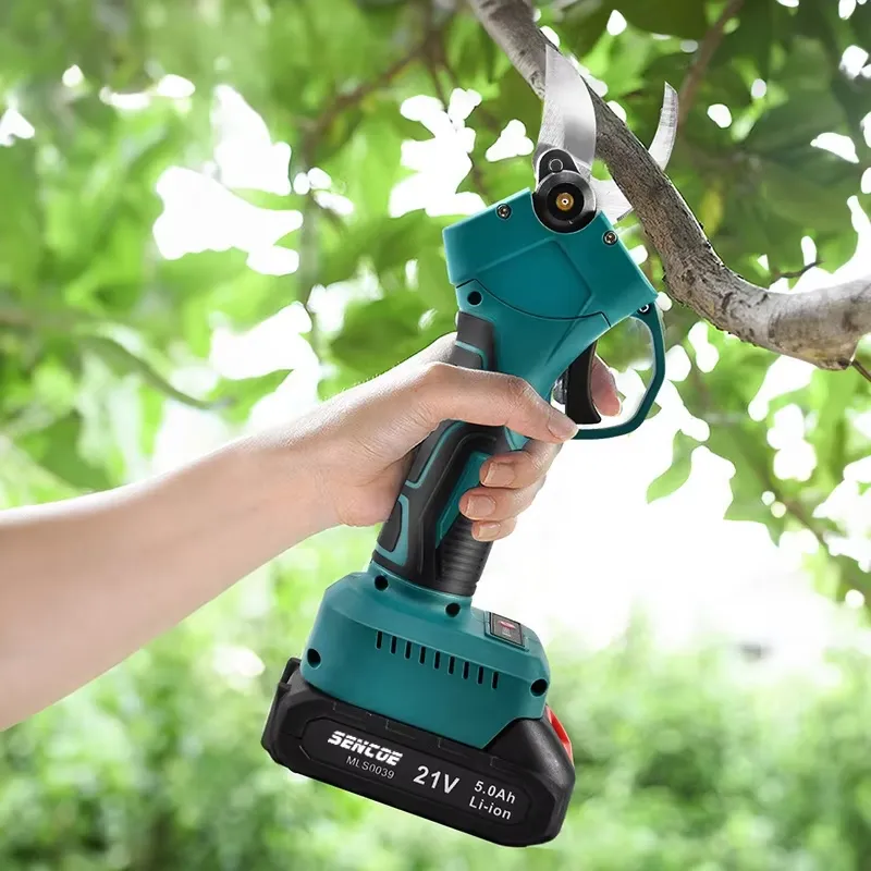Potatore Elettrico Professiona - Gardening Tools Amazon recensione e prezzo