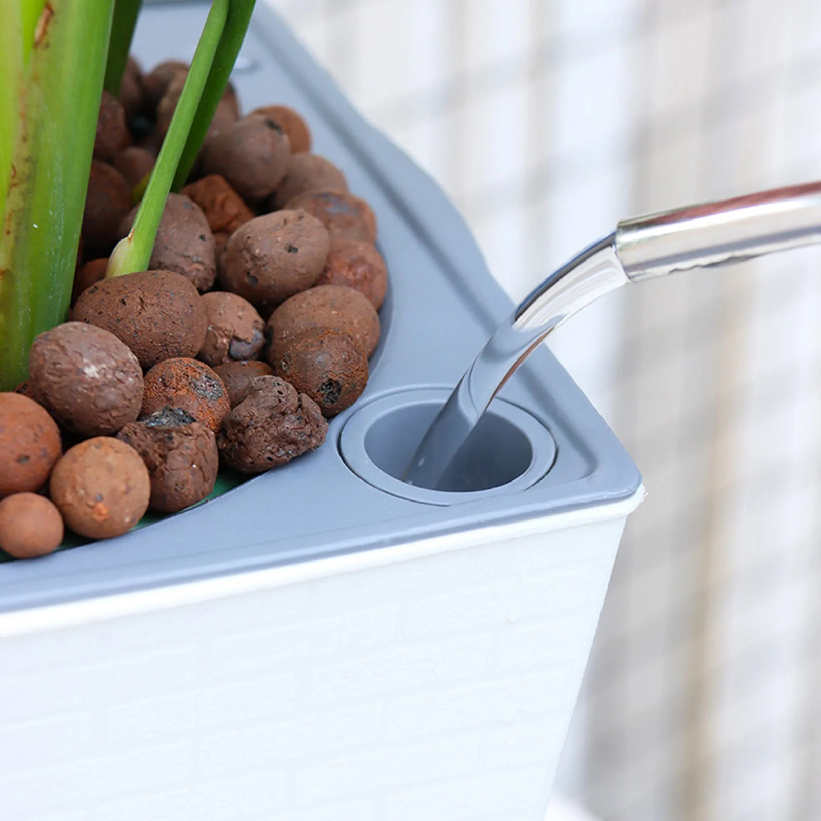 Fioriera autoirrigante Vaso da - Gardening Tools Green recensione e prezzo