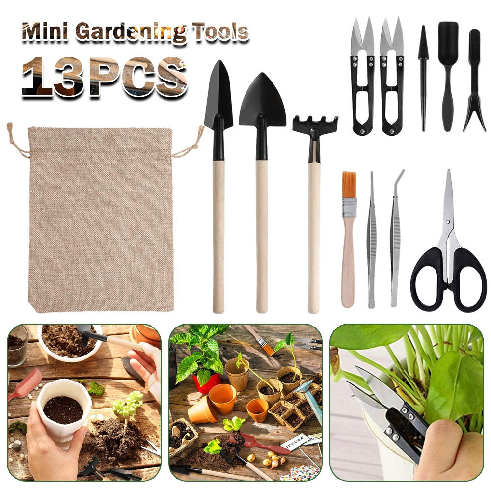 Strumenti per piante grasse Mi - Gardening Tools Sale recensione e prezzo
