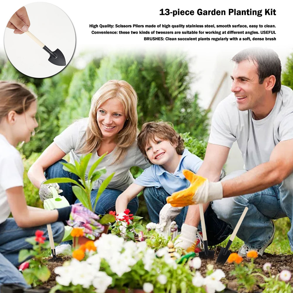 Strumenti per piante grasse Mi - Gardening Tools Sale recensione e prezzo