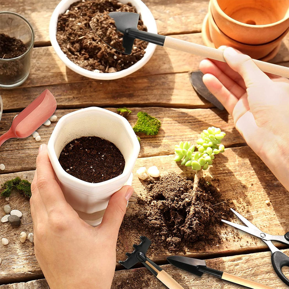 Strumenti per piante grasse Mi - Gardening Tools Sale recensione e prezzo