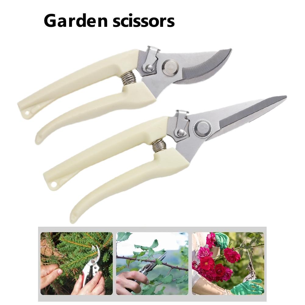 Forbici da Giardino per Piante - Gardening Tools Australia recensione e prezzo