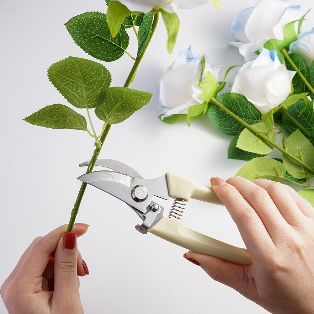 Forbici da Giardino per Piante - Gardening Tools Australia recensione e prezzo