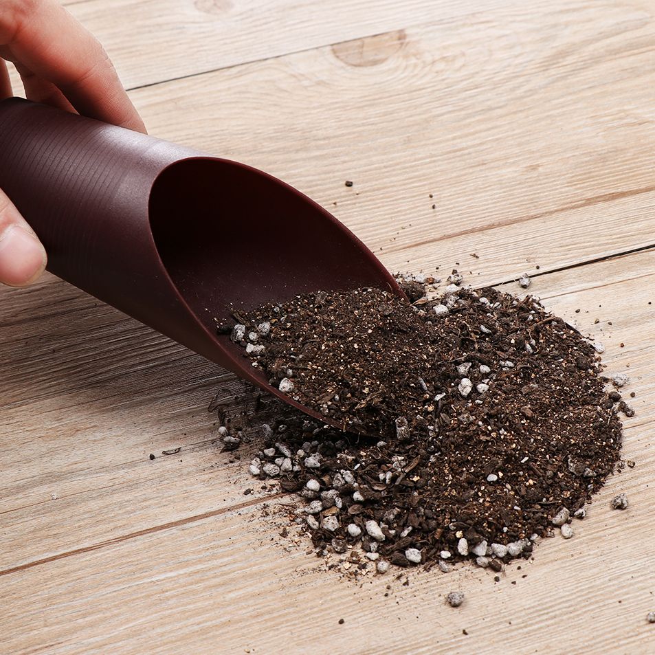 1 pz plastica terreno pala taz - Gardening Tools Sale recensione e prezzo